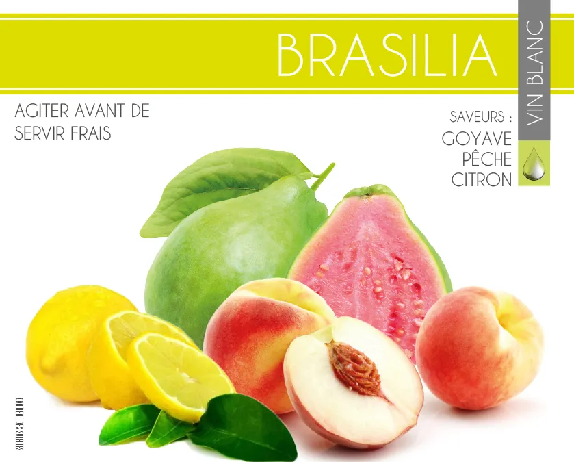 Brasilia